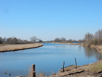 Linge!