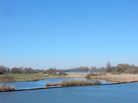 Paradijs voor vogels!
