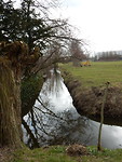 Moddersloot op de Oudendijk!