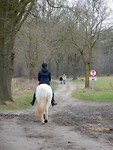 En de laatste!