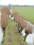 Tiendweg!
