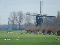 Tiendwegse Molen!