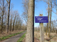 Eendenkooi Ter Kwak!