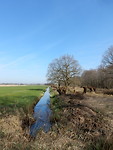 Langs de Kooilaan!