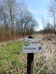 Ommetje Elshout!