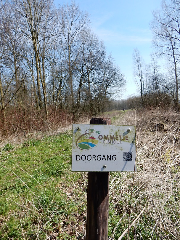 Ommetje Elshout!