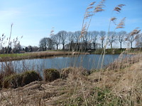 Wiel in het weiland!
