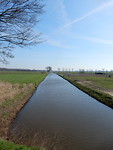 Koningsvliet!