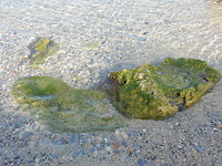 Kristalhelder water!