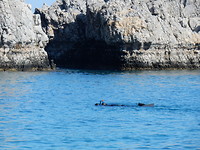 Snorkelen!