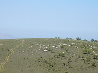Kaal landschap maar indrukwekkend!
