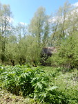 Bunker tussen de grienden!