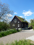 Dak van mos en planten!