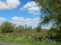 Grienden langs de Linge!
