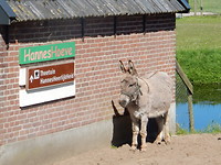 Hannes!