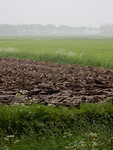 Moet nog ingezaaid worden!