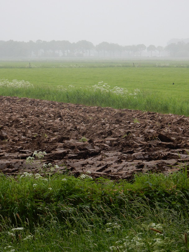 Moet nog ingezaaid worden!