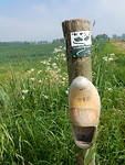 Nog een klomp!