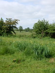Mooi landschap!