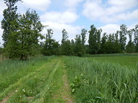 Landgoed de Dullaart!