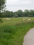 Natuurgebied het Markdal!