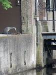Loerende reiger op de kasteelmuur!