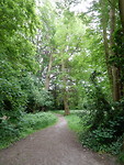 In het parkje!