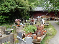 Leuke tuin vol brocante!