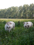 Twee stoere dames!