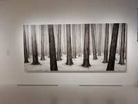 Forest II by Ni Youyu!