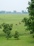 Landelijk!
