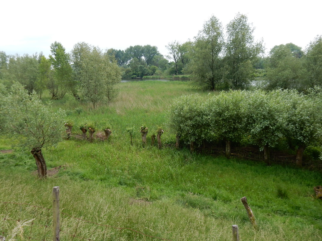 Langs de Linge!
