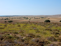 Desolaat landschap!