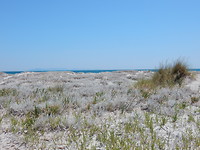 Mooie duinen!