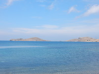 Platy Bay!