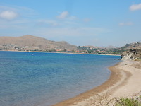 Platy Bay!