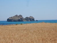 Platy Bay!