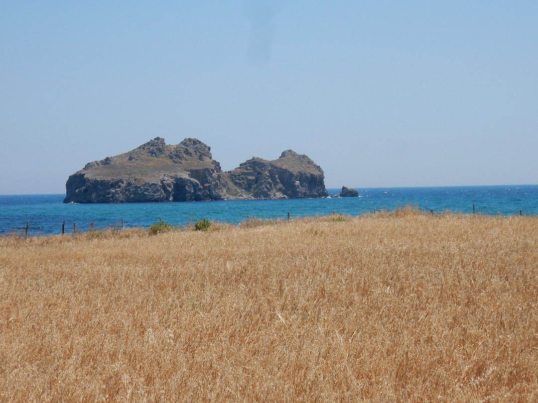 Platy Bay!