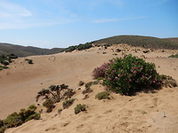 De Sahara van Limnos!