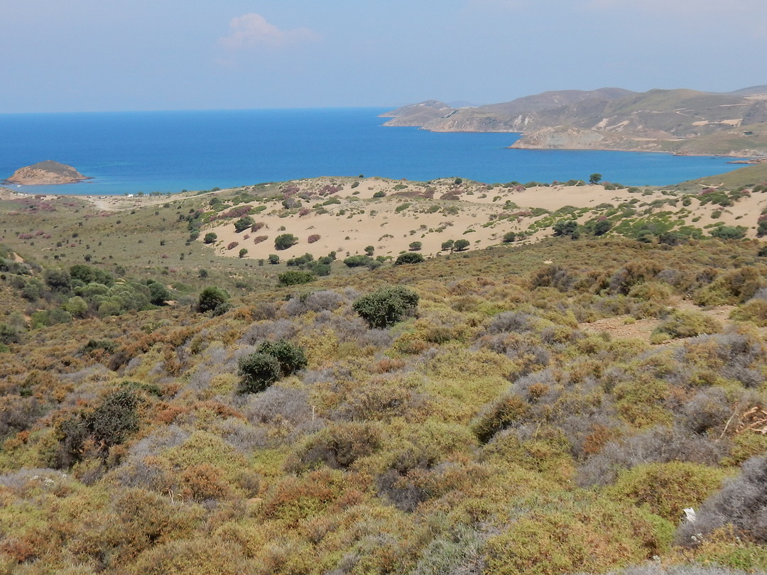 Gamati Bay!