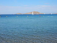 Platy Beach!