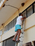 Zwaluwjong weer in het nest gestopt!
