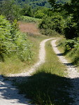 Leuke weggetjes!