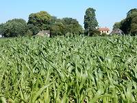 Prachtige boerderijen!