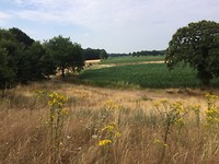 Natuurgebied Vlijmens Ven!