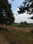 Pechfoto!