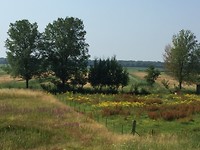 Bloemrijke graslanden!
