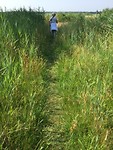 Moederlief tussen het riet!