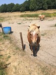 Zo leuk!