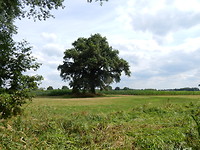 Landschap rond het kasteel!